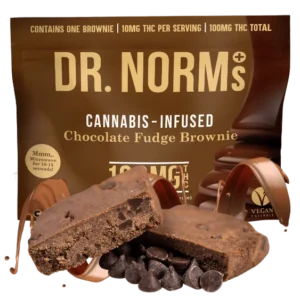 Vegan Chocolate Fudge Brownie