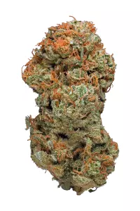 Sour Haze Marijuana Strain