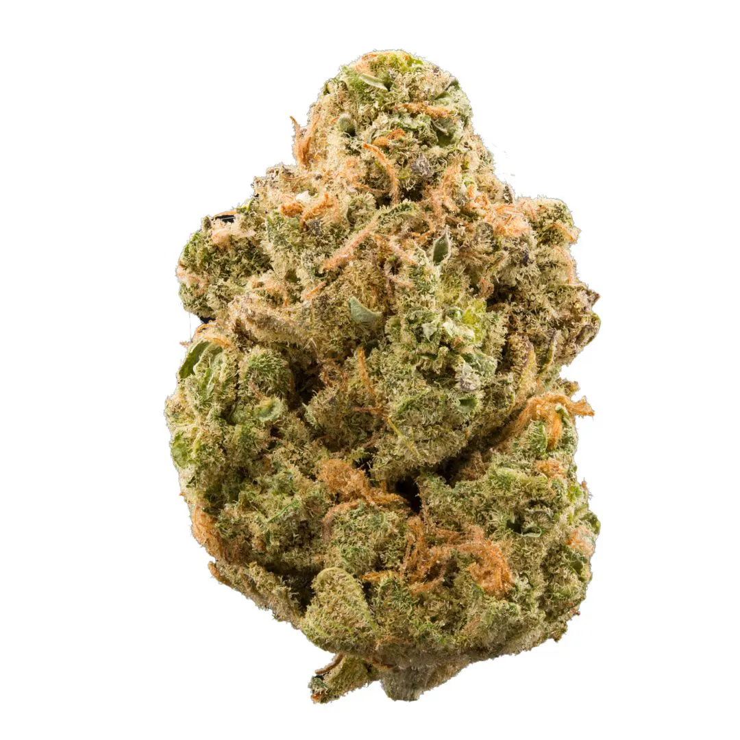 Girl Scout Cookies (GSC) Marijuana Strain