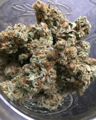 Sour Diesel Marijuana Europe